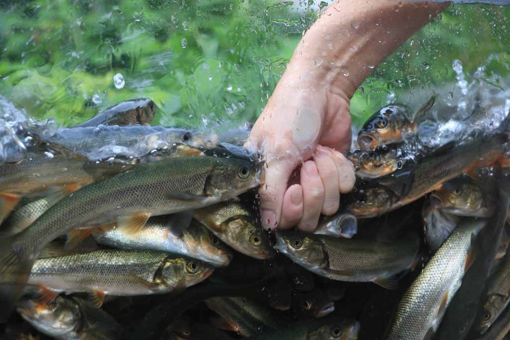 ユニークな餌付け体験/相模川ふれあい科学館(神奈川県/相模原市)