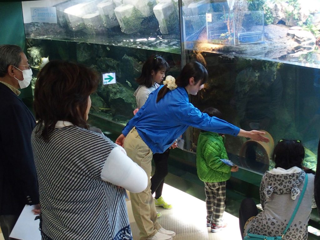 飼育スタッフの丁寧な説明を聞きながら見る「おさかなのブランチ」/相模川ふれあい科学館(神奈川県/相模原市)