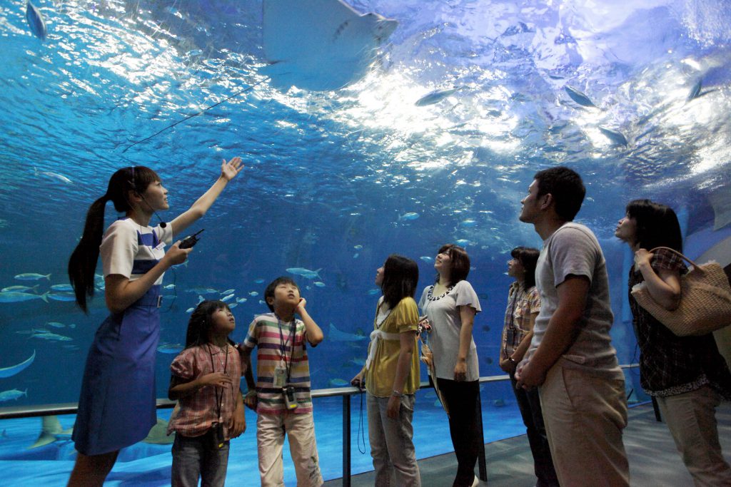 ガイドツアーなど充実の毎日開催されるイベントの様子／いおワールド　かごしま水族館（鹿児島県／鹿児島市）