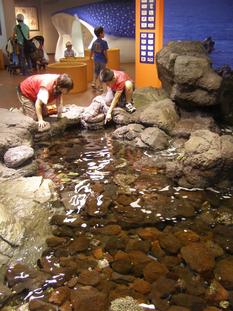 1階「ワクワクはっけんひろば」の様子／いおワールド　かごしま水族館（鹿児島県／鹿児島市）