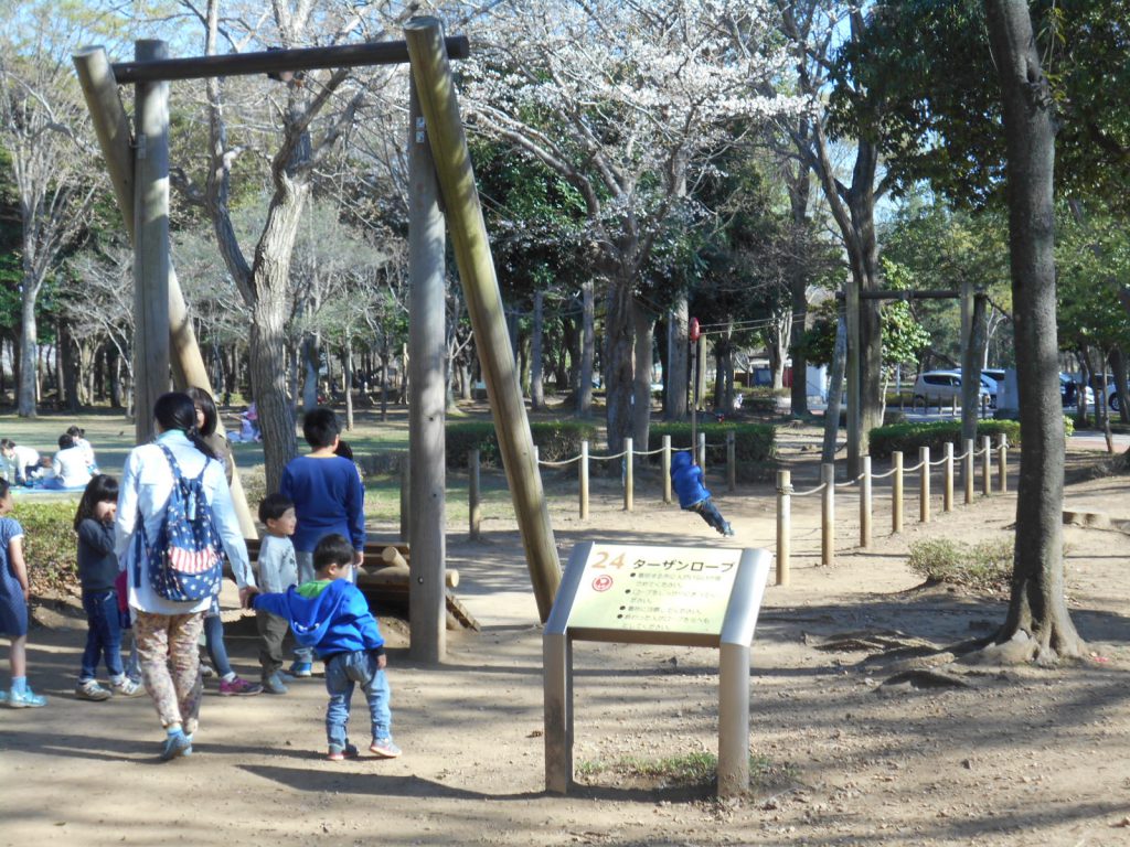 ターザンロープで遊ぶ子ども/茨城県営洞峰公園(茨城県/つくば市)