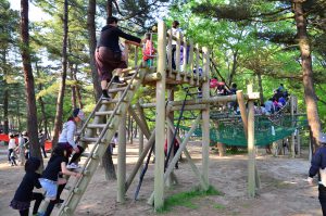 茨城県のアスレチック12選!空中コースやジップライン、公園の無料大型遊具も