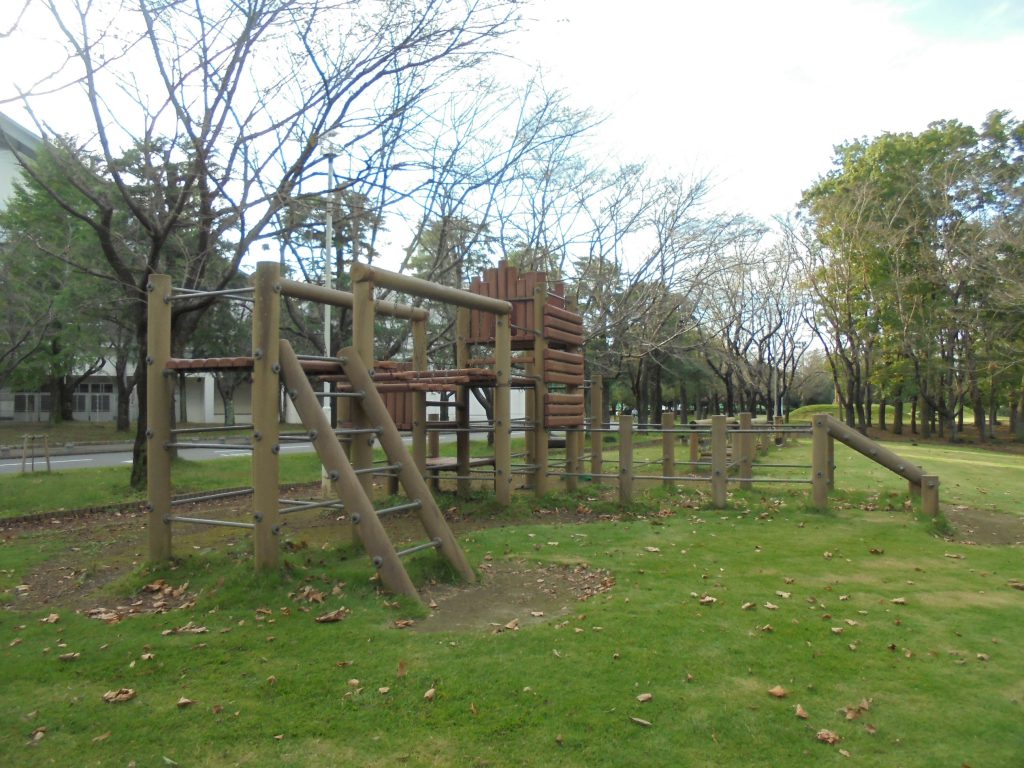 コンビネーション遊具/古河市中央運動公園(茨城県/古河市)
