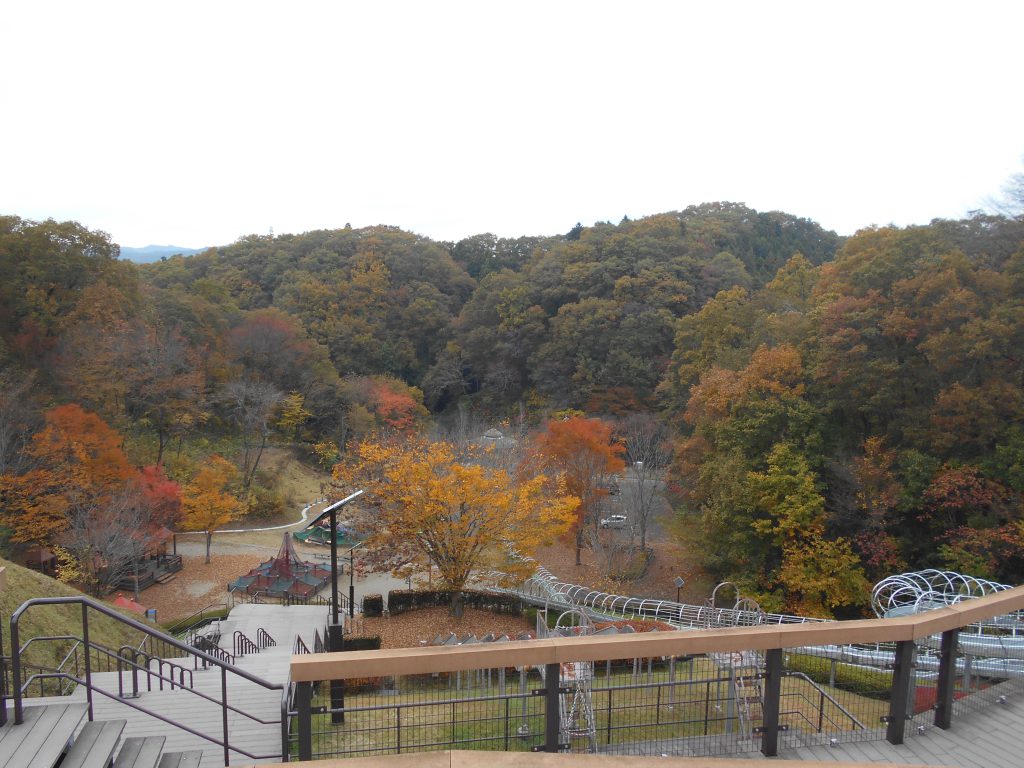 アスレチック施設全景／大子広域公園（茨城県／久慈郡大子町）