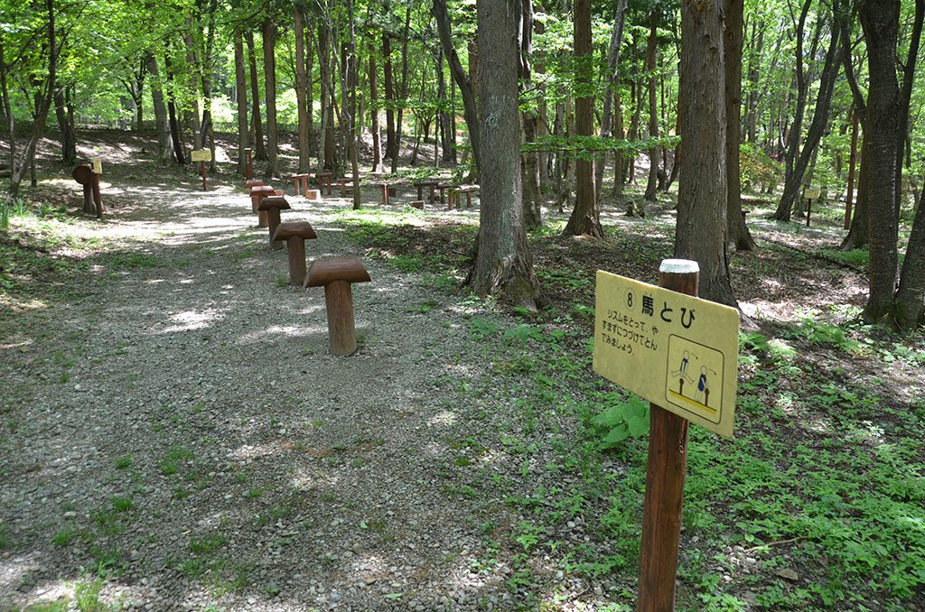 トリム歩道沿いのフィールドアスレチック／箱の森プレイパーク（栃木県／那須塩原市）