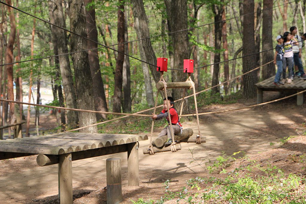 アスレチックコース／那須野が原公園アスレチック（栃木県／那須塩原市）