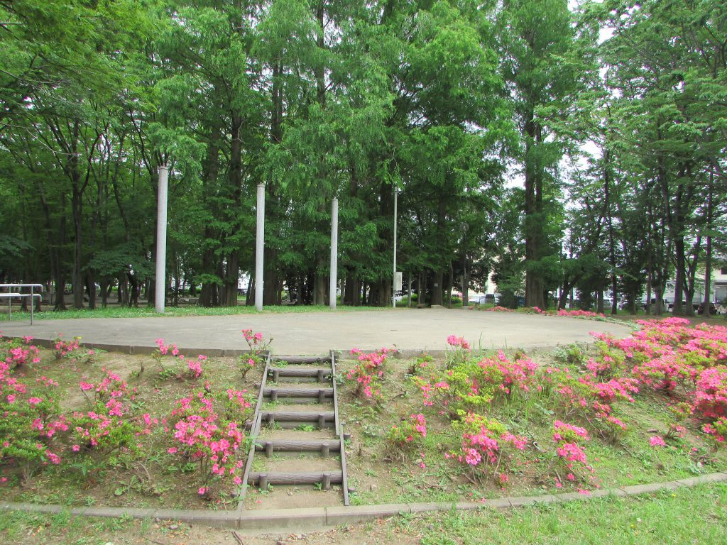 様々な用途で利用可能な多目的広場/伊佐沼公園(埼玉県/川越市)