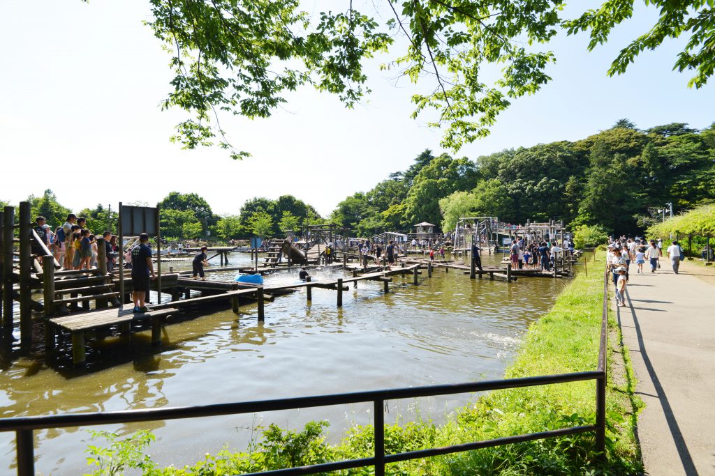 水上にたくさんのアスレチックが並ぶ／清水公園（千葉県野田市）