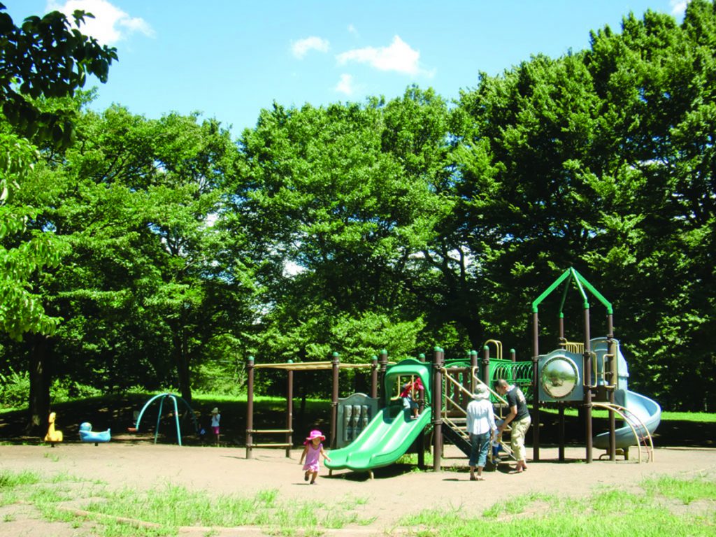 わんぱく広場の複合遊具／都立野川公園（東京都／三鷹市）