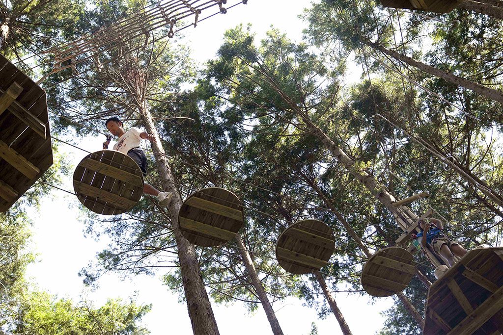 木から木へ、空中のロープを進む/フォレストアドベンチャー・小田原(神奈川県/小田原市)