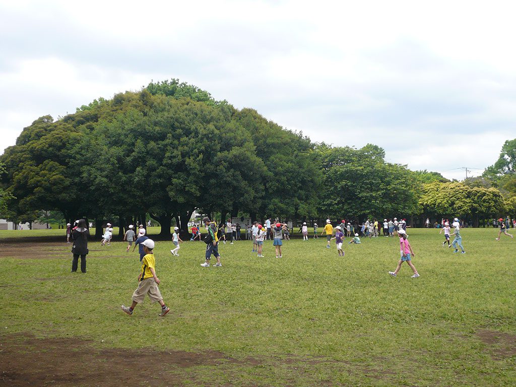 ひょうたん原っぱ/岸根公園(神奈川県/横浜市)