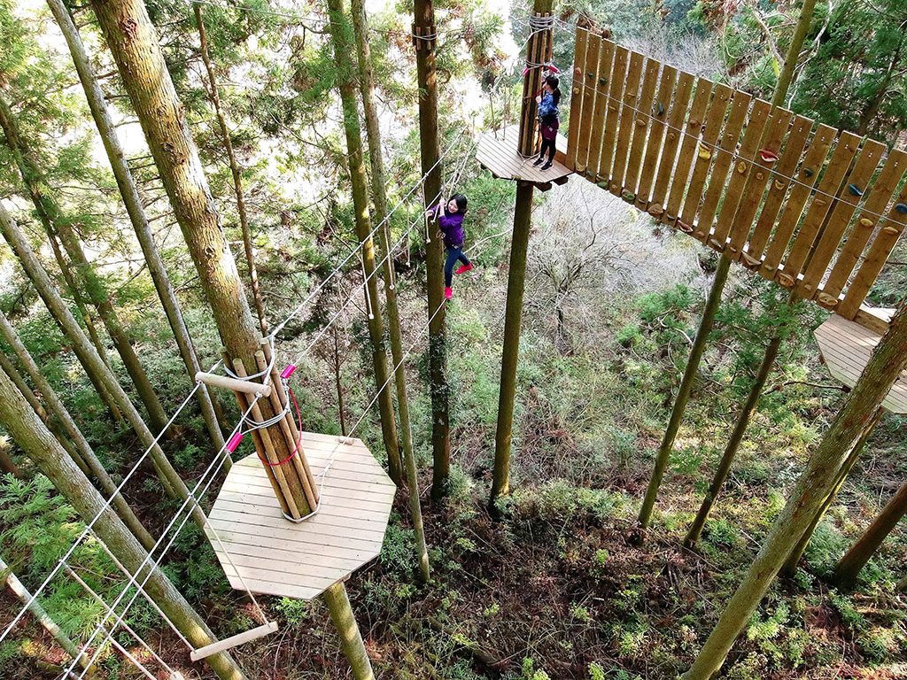 樹上に連なるアクティビティー/ツリークロスアドベンチャー厚木・七沢(神奈川県/厚木市)