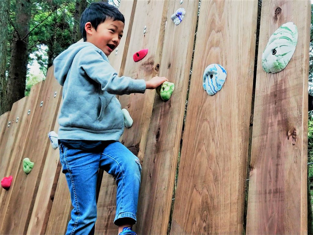 キッズコースを楽しむ男の子/ツリークロスアドベンチャー厚木・七沢(神奈川県/厚木市)
