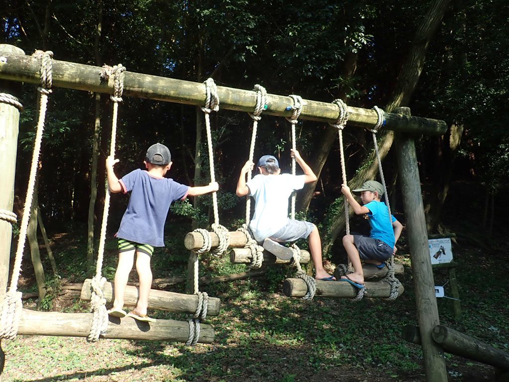 アスレチック遊具で遊ぶ子どもたち/藤沢市少年の森(神奈川県/藤沢市)