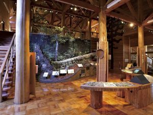 福井県の無料スポット・遊び場6選！博物館やプラネタリウム、ふれあい牧場など