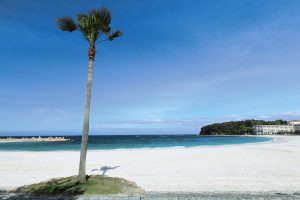 白良浜の魅力を紹介！関西屈指の美しい砂浜が広がる