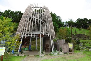 体を使って思い切り遊べるツインリンクもてぎの魅力を紹介！