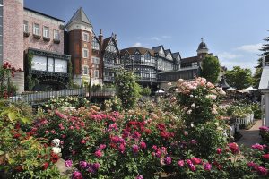 白い恋人パークは子供から大人まで1日満喫できるご機嫌スポット！