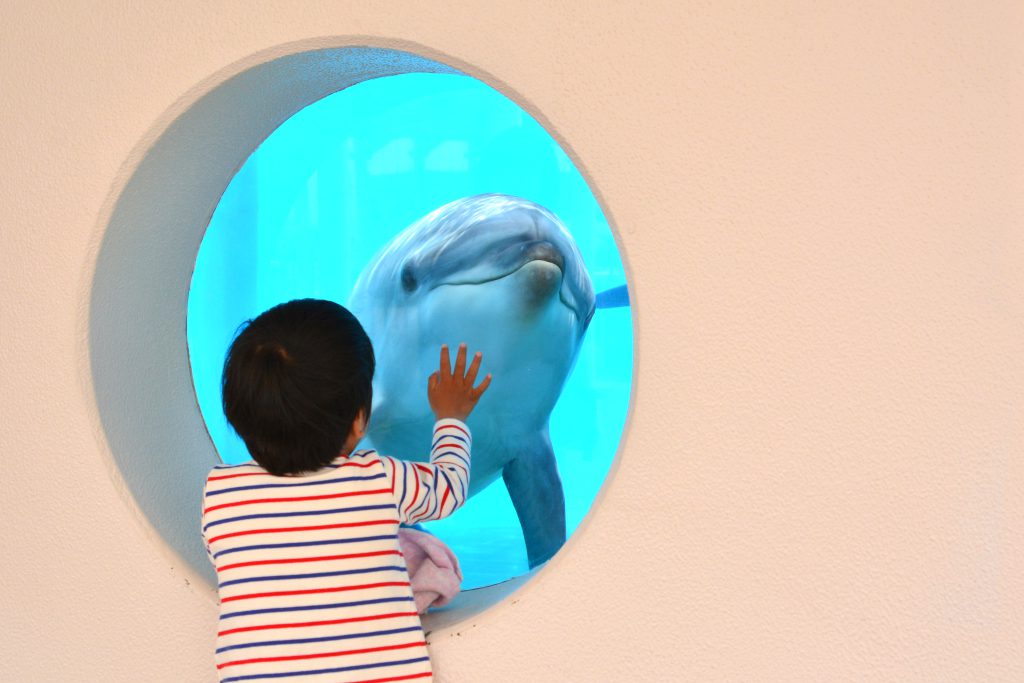 マリンワールド海の中道(福岡)は九州の海をダイナミックに再現！イルカショーも人気