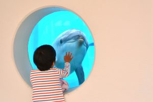 マリンワールド海の中道(福岡)は九州の海をダイナミックに再現！イルカショーも人気