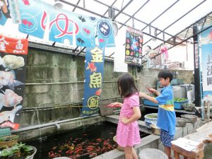金魚を釣る様子／金魚坂（東京都/文京区）