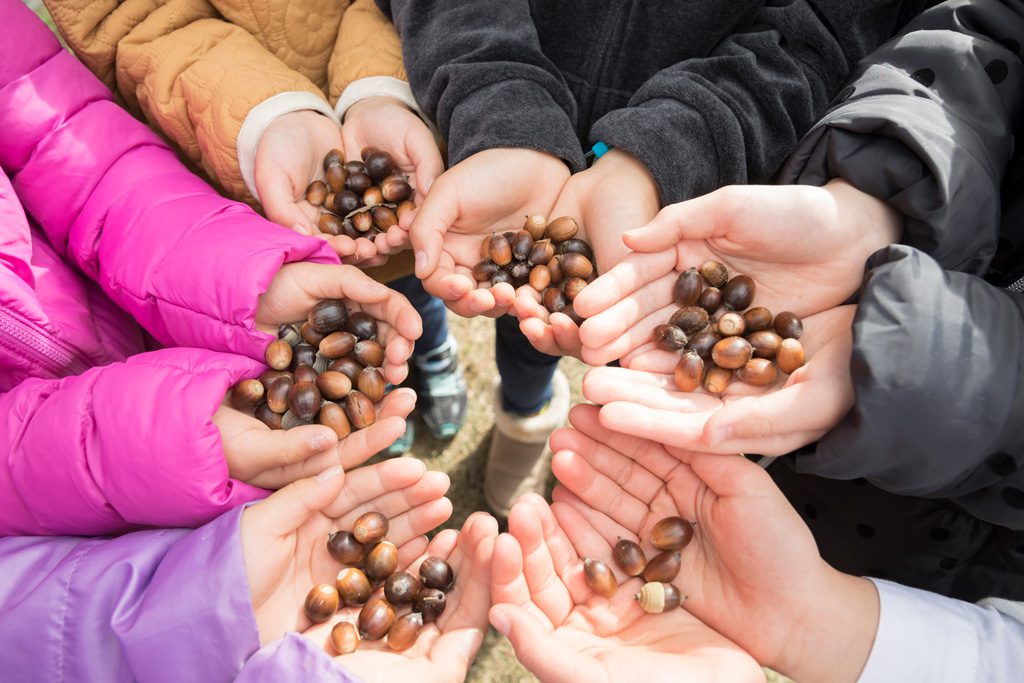 沢山のどんぐりを手にもつ子どもたち／木場公園（東京都/江東区）