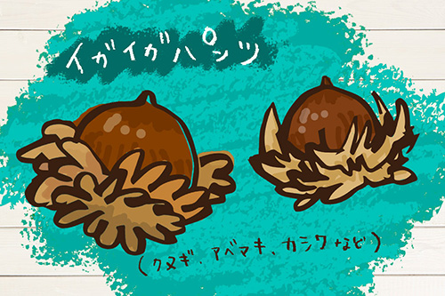 クヌギ、アベマキ、カシワなど/木場公園(東京都/江東区)