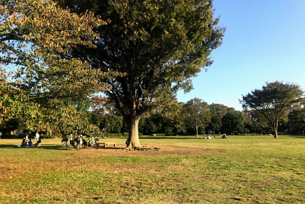 木場公園の芝生広場(東京都/江東区)