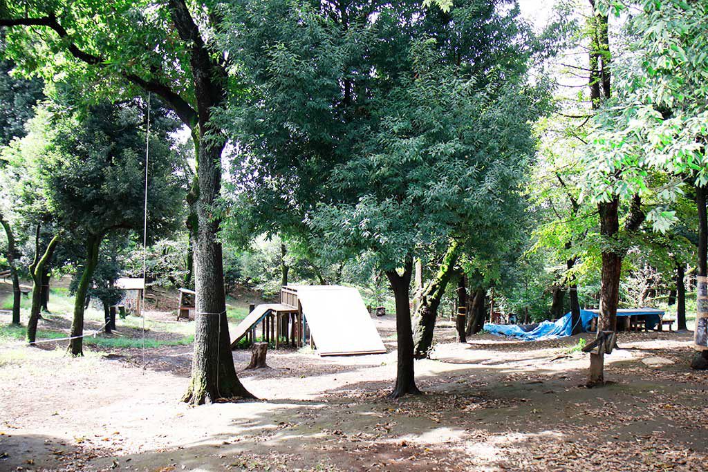 広い敷地内にある手作り遊具／羽根木プレーパーク（東京都/世田谷区）