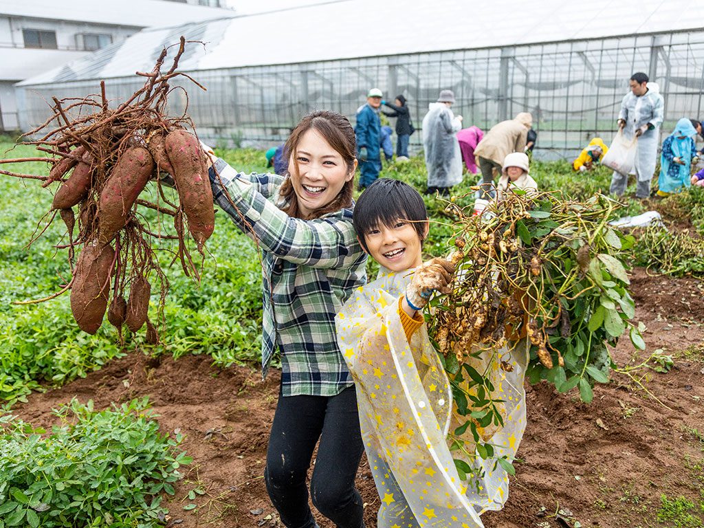 野菜の収穫体験/江戸川区