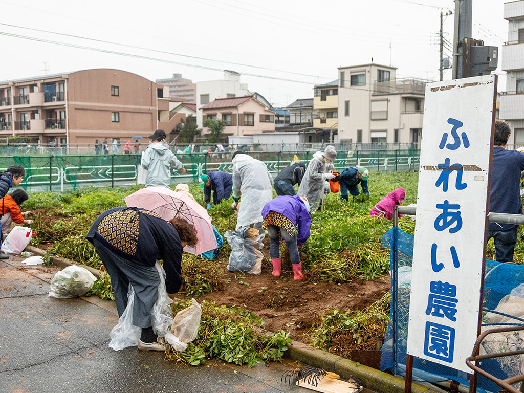 ふれあい農園で野菜の収穫体験(東京都/江戸川区)