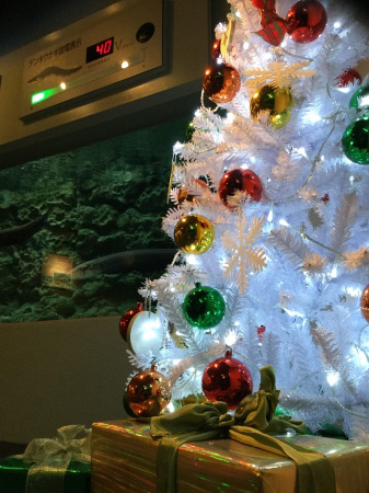 デンキウナギのイルミネーションツリー／しながわ水族館（東京都／品川区）