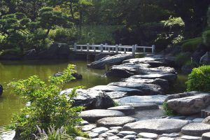 庭園の池／清澄庭園（東京都/江東区）