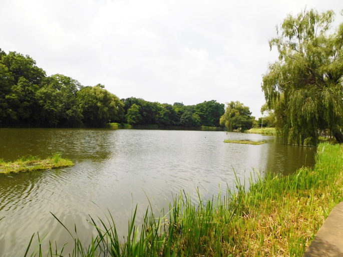 石神井池／都立石神井公園（東京都/練馬区）