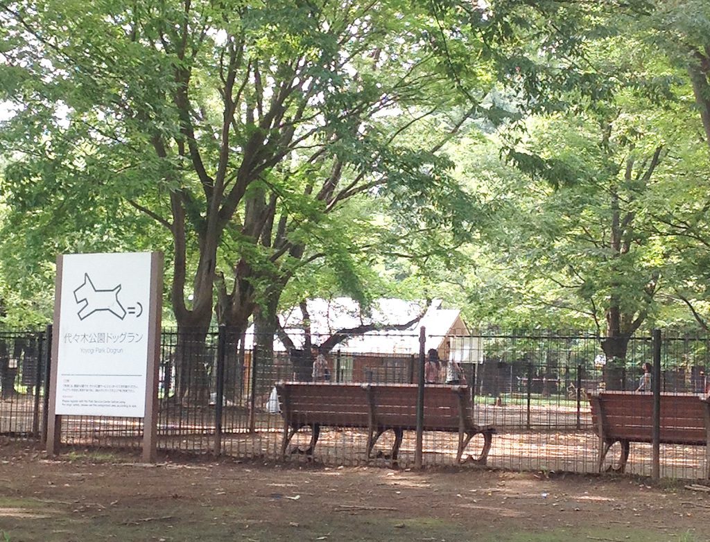 公園内のドッグラン／代々木公園（東京都/渋谷区）