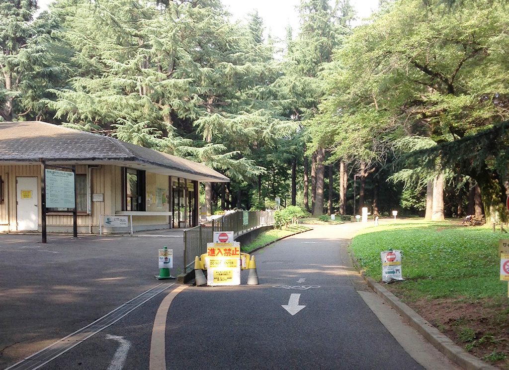 公園内のサイクリングコース／代々木公園（東京都/渋谷区）