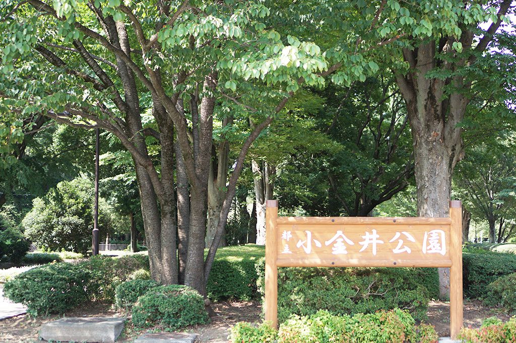 小金井公園入口（東京都/小金井市）