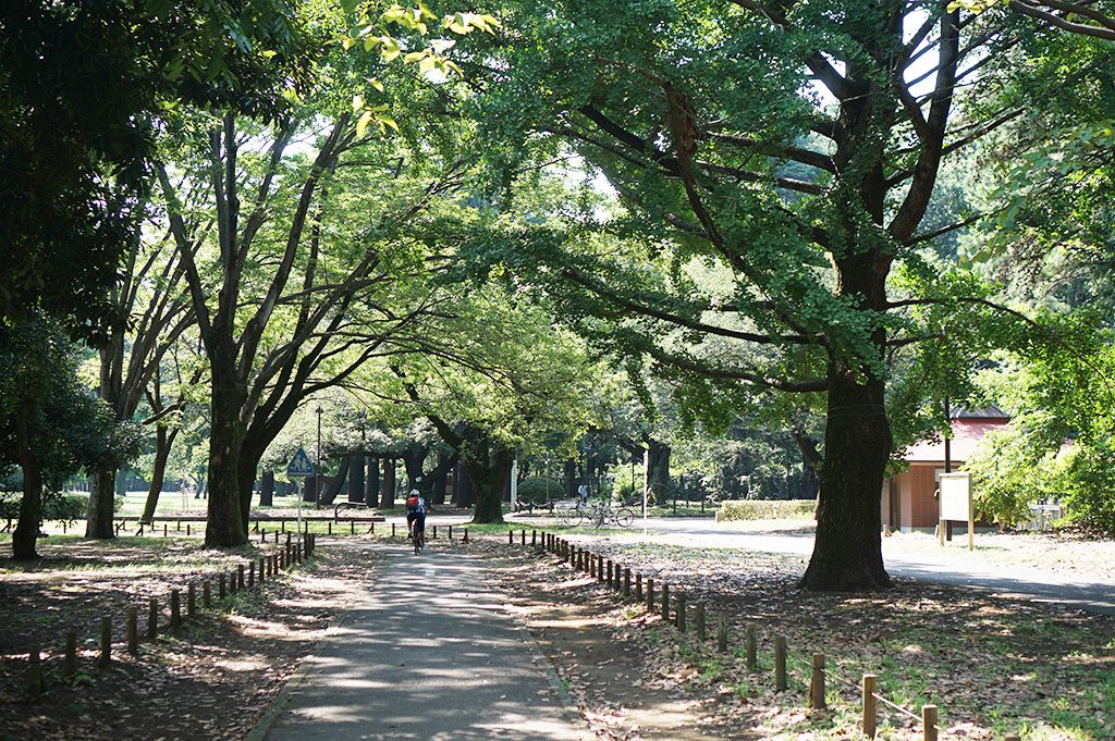サイクリングコース／小金井公園（東京都/小金井市）