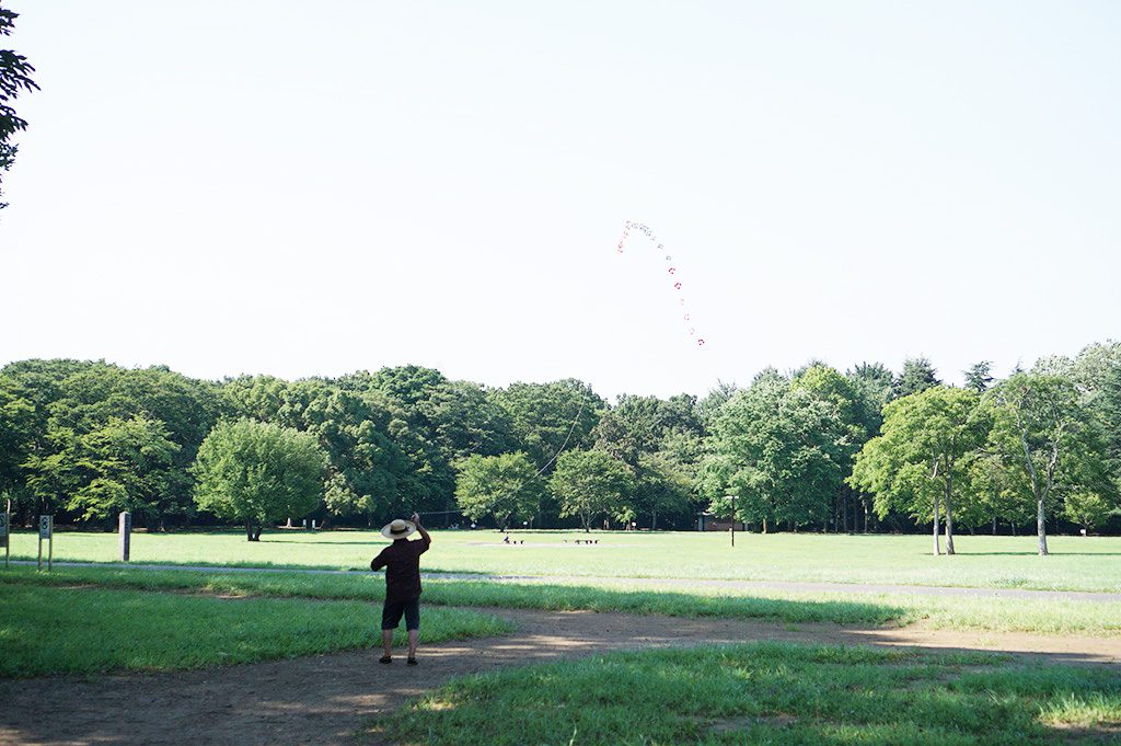 小金井公園の芝生の広場