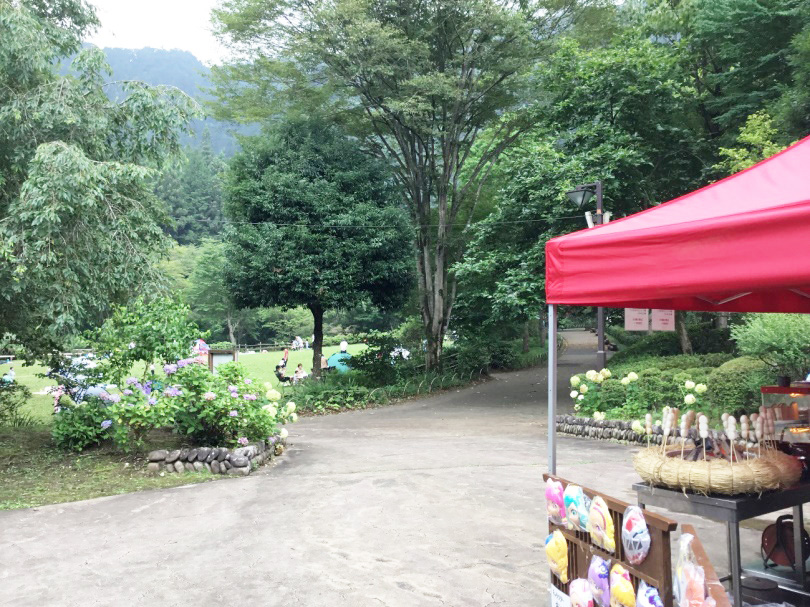 芝生広場の出店／夕やけ小やけふれあいの里（東京都/八王子市）
