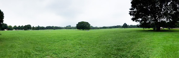 広大な「みんなの原っぱ」／国営昭和記念公園（東京都/立川市）