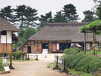 「こもれびの里」の風景／国営昭和記念公園（東京都/立川市）