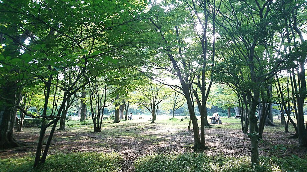 北の丸公園/科学技術館（東京都/千代田区）