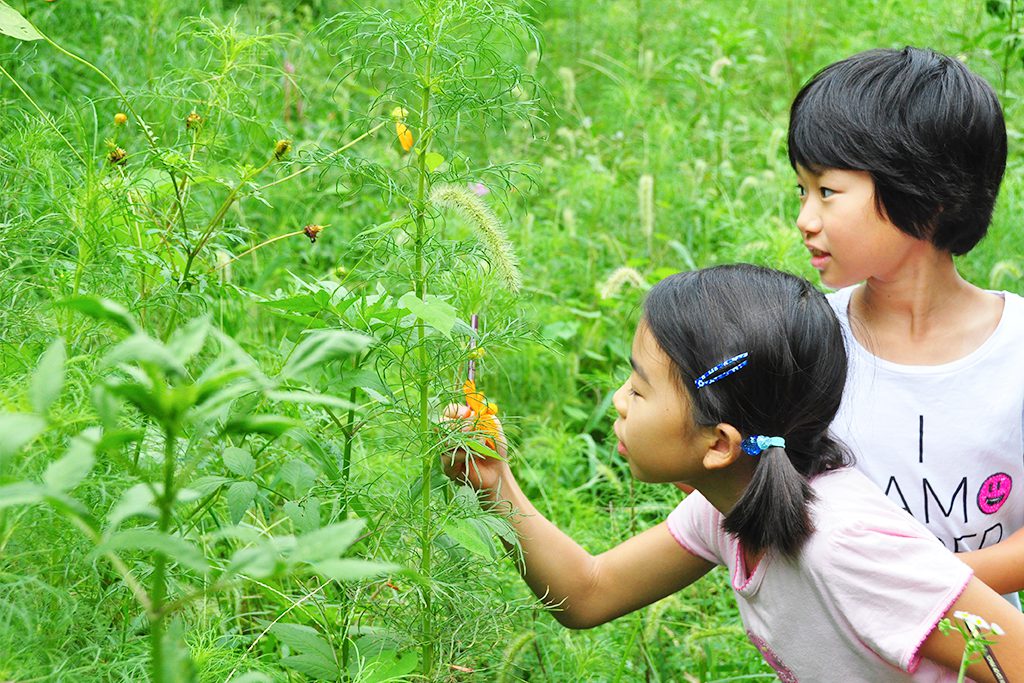 自然あそび「ネイチャーゲーム」で、 公園やキャンプ場がワンダー ワールドに！