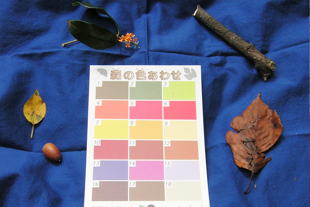 「森の色合わせ」というネイチャーゲーム用の色カード