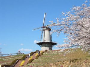 宮城県の無料スポット・遊び場8選！工場見学や社会科見学、動物とふれあえる牧場など