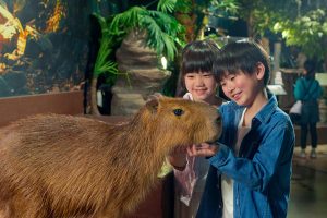 最新テクノロジーと動物のふれあいが融合！オービィ横浜