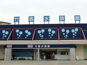 個性あふれる手作りの展示とショーが魅力の竹島水族館