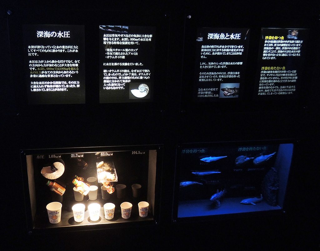 深海魚と水圧についての詳しい解説/沼津港深海水族館(静岡県)