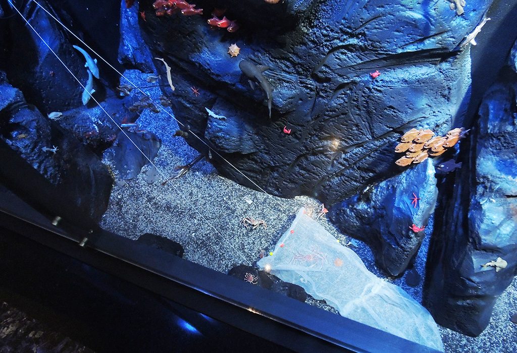 底引き網漁の模型/沼津港深海水族館(静岡県)